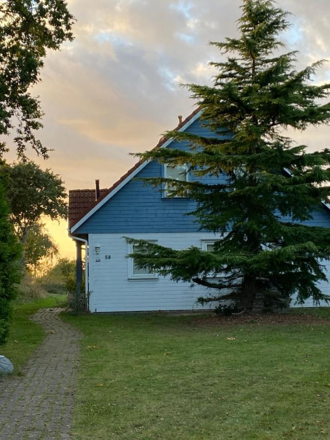 Freistehendes Einfamilienhaus Mit Boddenblick Naehe Ostsee Fuhlendorf  Ngoại thất bức ảnh